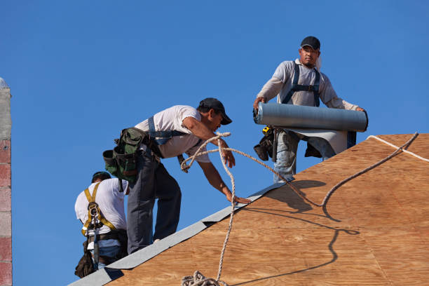 Best Roof Maintenance Services  in Mcdade, TX