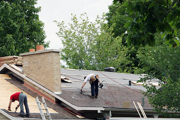 Best Roof Repair Services  in Mcdade, TX