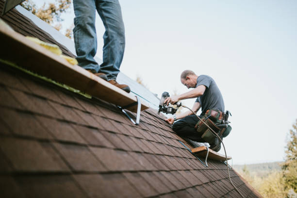 Best Roof Gutter Cleaning  in Mcdade, TX